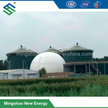 Membrane Biogas Storage Tank Container for Biogas Plant